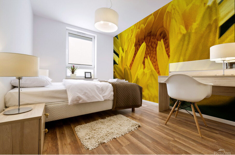 F17B6D9A 86D4 49AB 80E9 987CD2F52091 Mural print