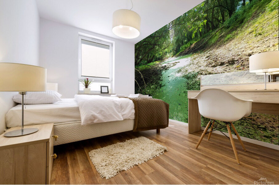 Dry Creek II Mural print