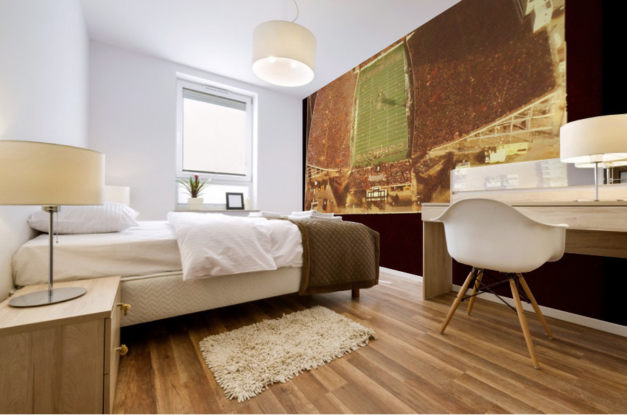 Oklahoma State Lewis Field Viewfinder Art Mural print