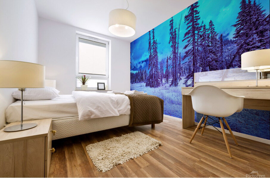 Mt. Washington 2 Mural print