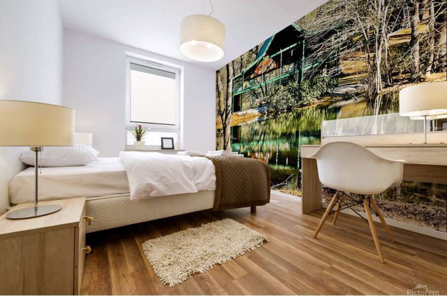 2CF0B516 04D8 4298 9B5F C7ED327698CC Mural print