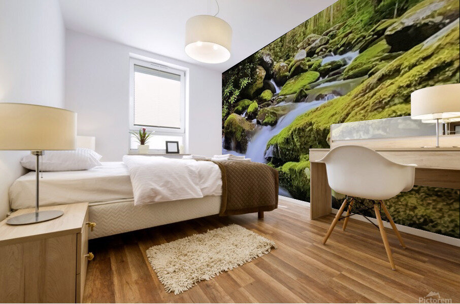 B29D37B0 17E0 445A 8158 F424EA434590 Mural print