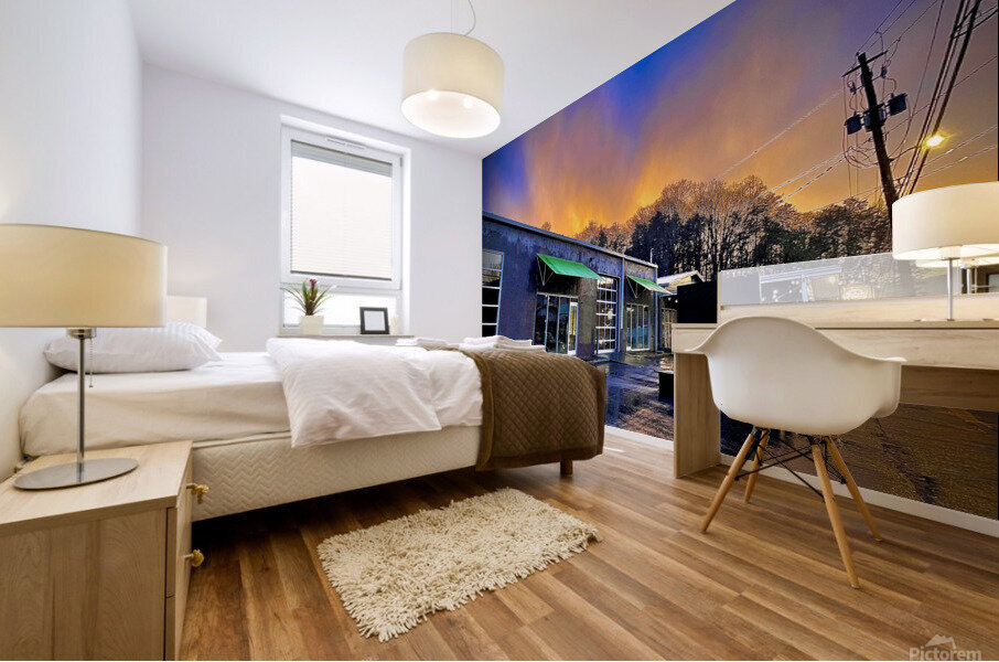 1DDB8F35 00D9 4C3C 91B1 4ACA0DF3DD21 Mural print