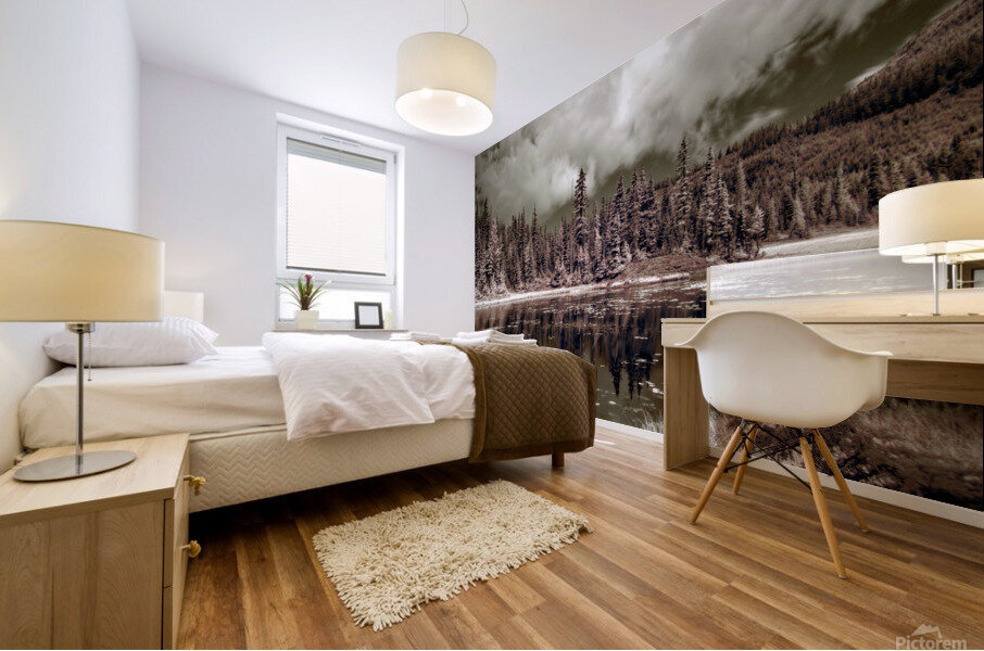 Mt. Washington 4 Mural print