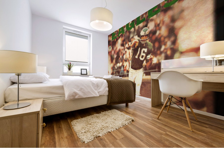 Vintage Philadelphia Eagles Viewfinder Art Mural print