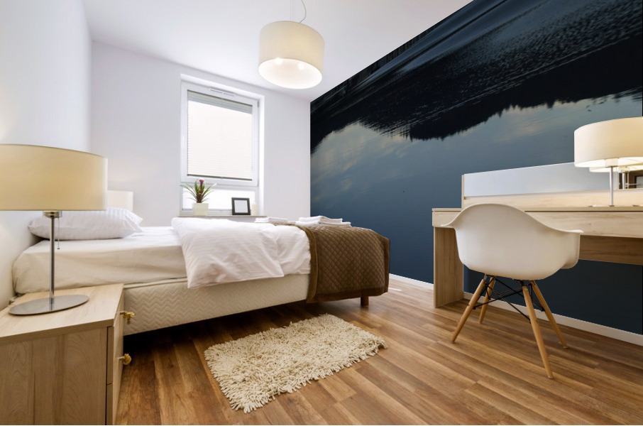 OregonInlet Mural print