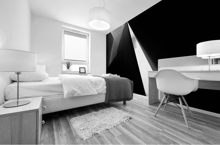 CarnegieSerra Mural print