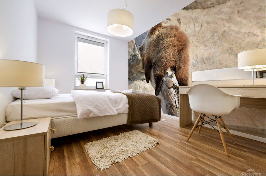 Naptime Mural print
