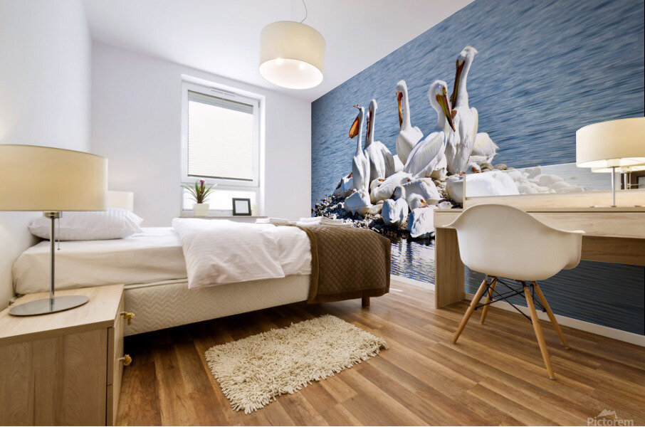Pelican Island Mural print