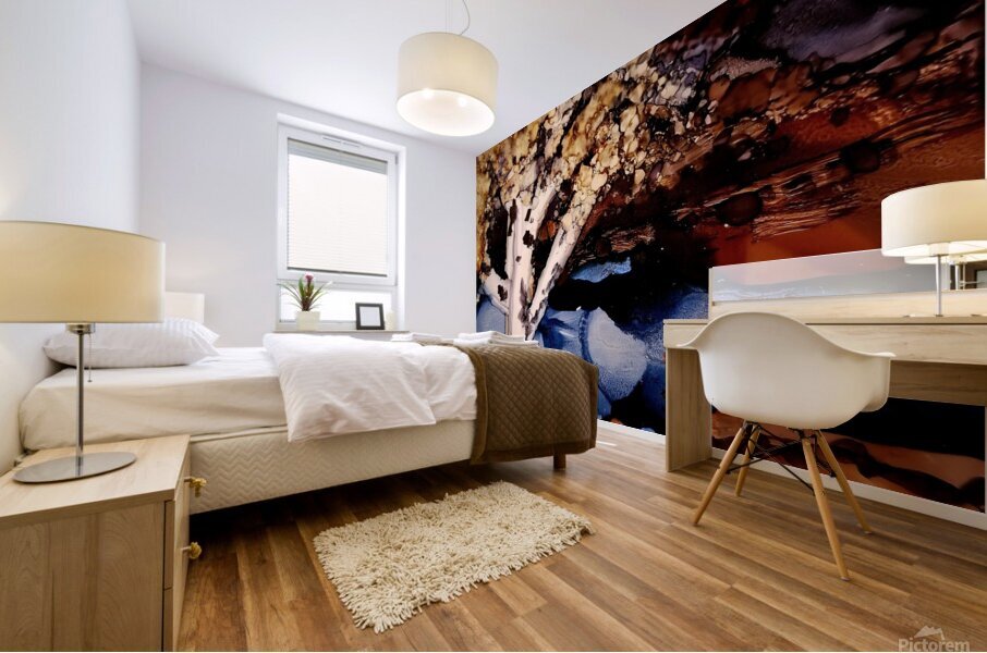 Autumn Birch Mural print