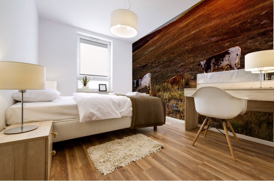 Longhorn Sunrise Mural print
