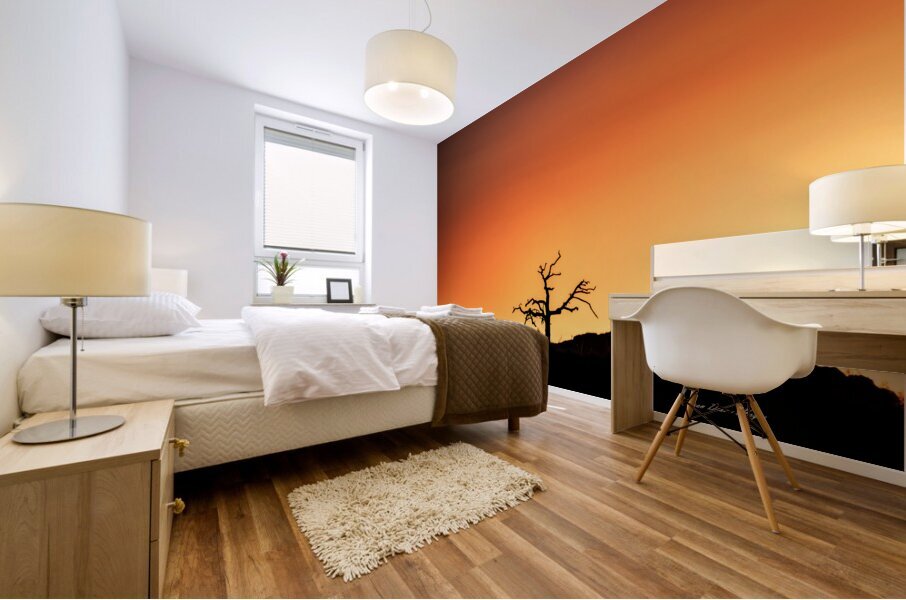 Orange Sunrise Mural print