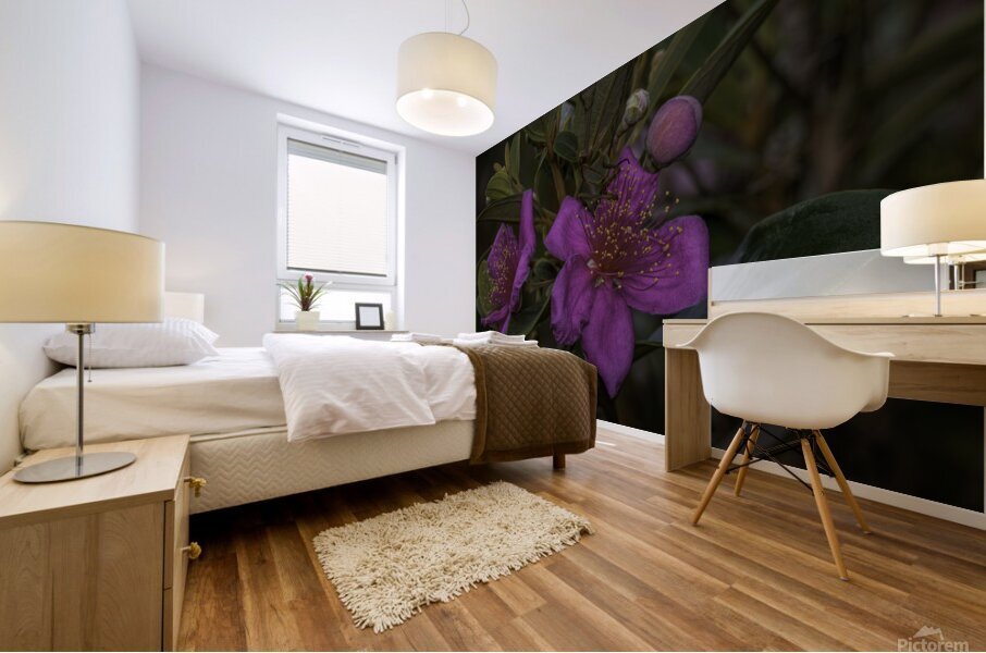 Woods Rose Mural print