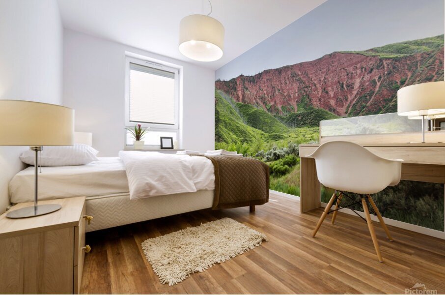 CO 2023 GlenwoodSprings2 Mural print