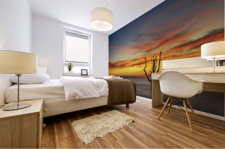 Sunrise on Botany Beach Mural print