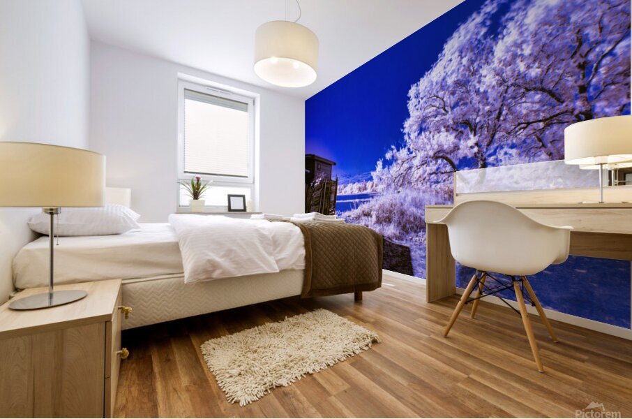 LaFarge Park Mural print