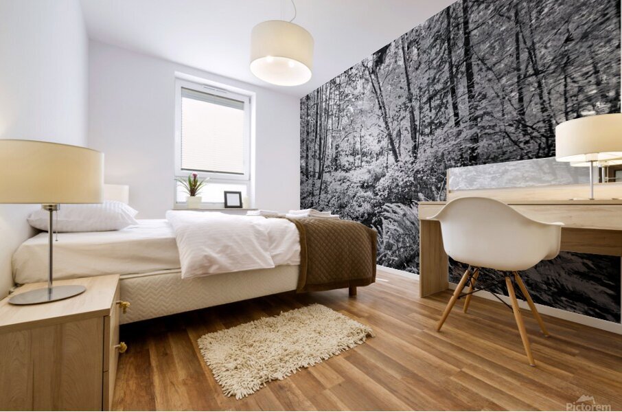 Brooklyn Creek Mural print