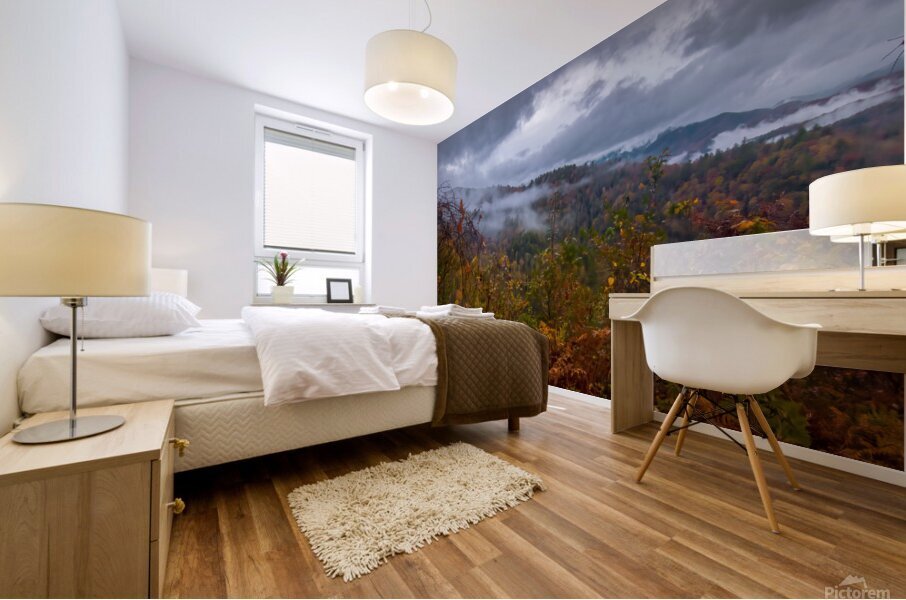 Cades Cove Foggy Morning Mural print