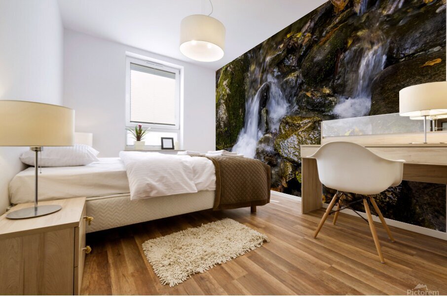 Blue Ridge Parkway Mountain Stream in  Autumn Mural print