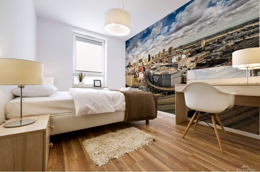 New Orleans Day Aerial City and Hi-way View Mural print