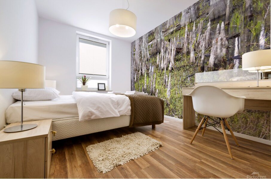 Atchafalaya National Preserve Cypress Trees Mural print