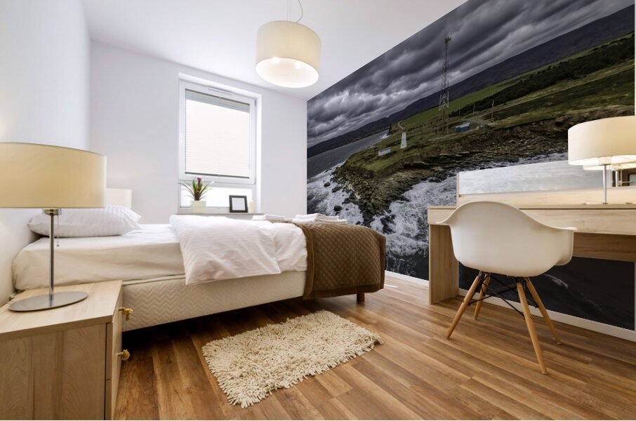 Enragee_Pointe_Drama Mural print