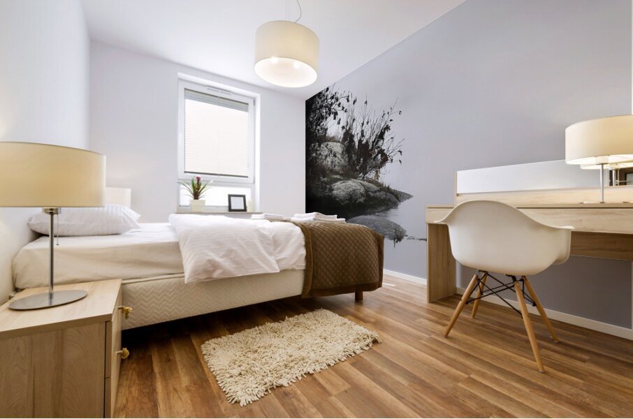 Foggy Point - Lisbon Falls Maine - Maine River Wall Art Mural print