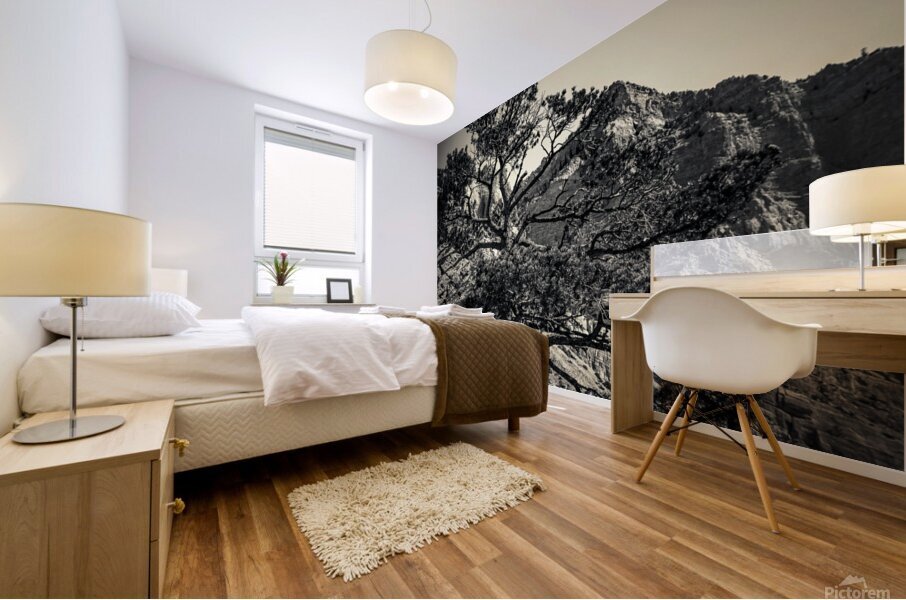 16x24 20170826 KW LN Find a Way Mural print