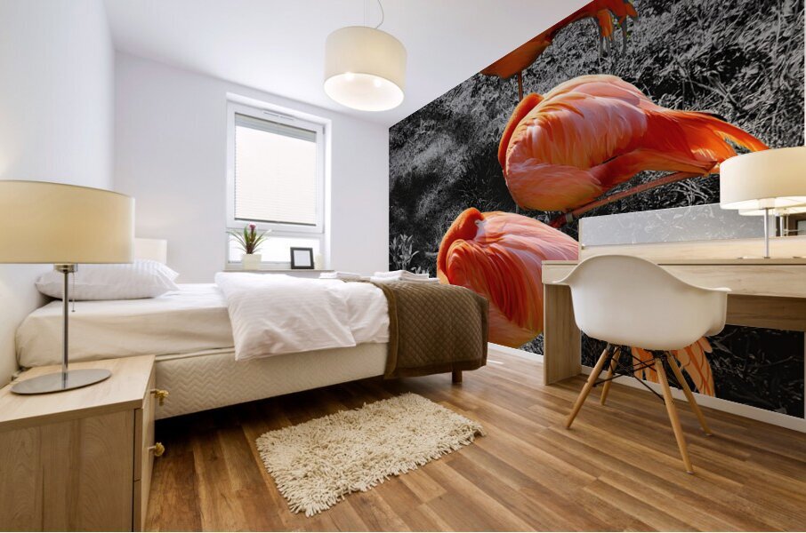 Flamingos Tucked Mural print