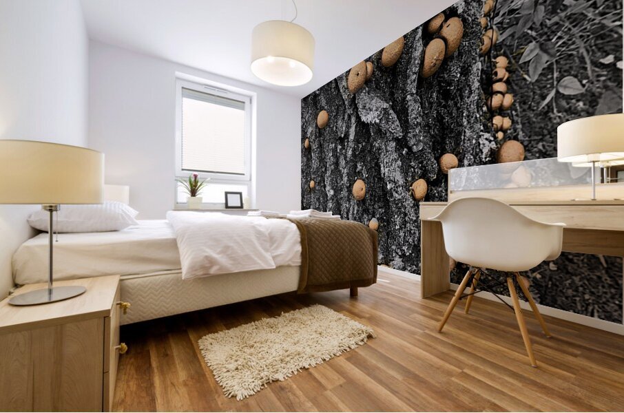Puffball Mushrooms Mural print