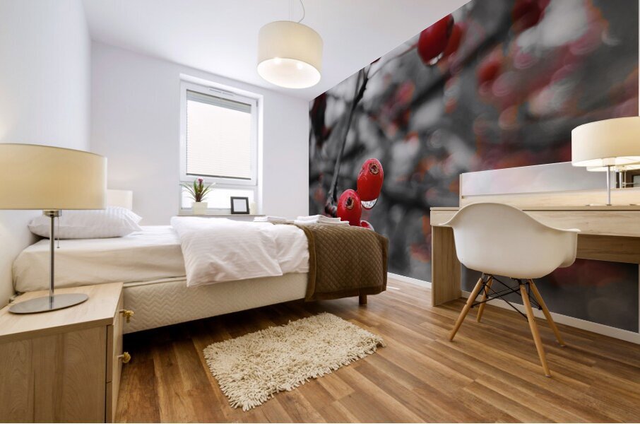 Siberian Crabapple Mural print