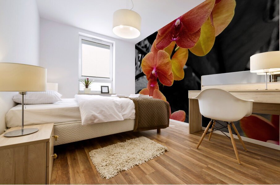 Orchids 4 Mural print
