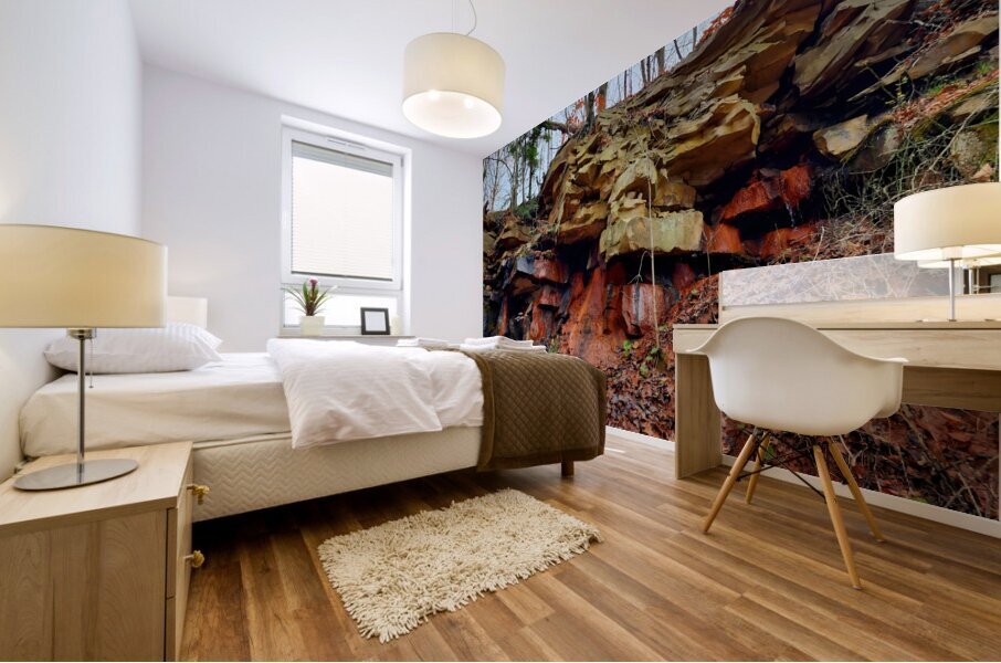 Iron Oxide Melt Mural print