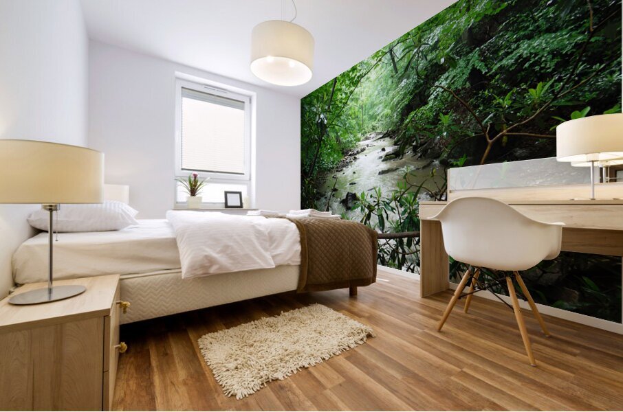 Roaring Run Mural print