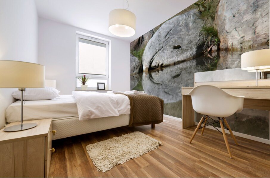 Rock Smile Mural print