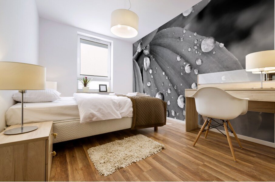 Raindrops Mural print