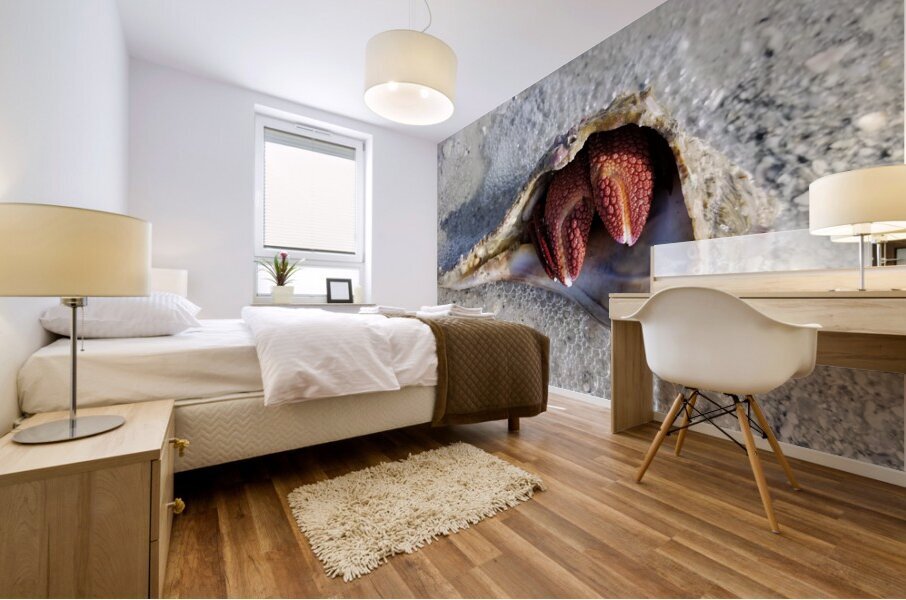 Crab Mural print