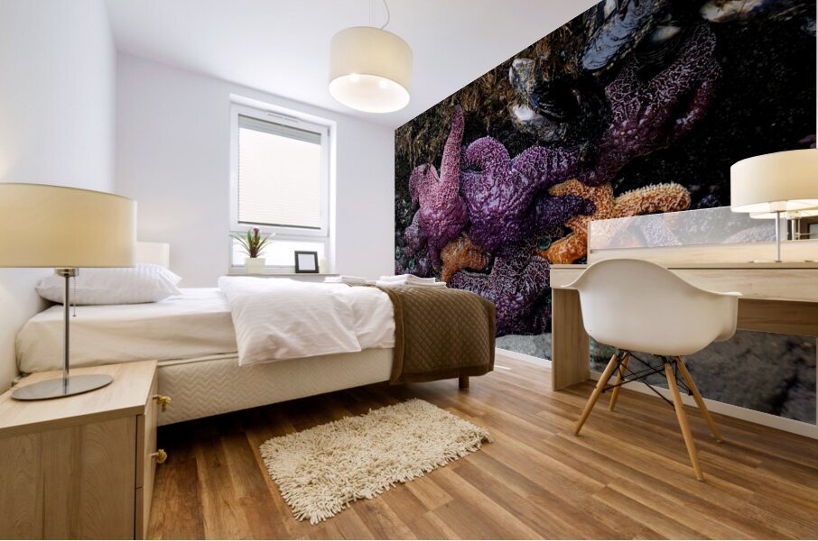 Tidal Pool 7 Mural print