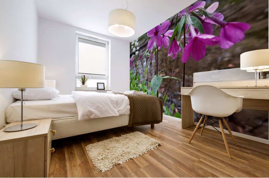 Creeping Phlox Streamside Mural print