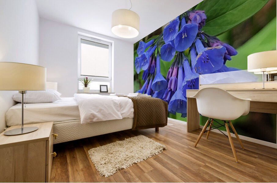 Virginia Bluebells Mural print