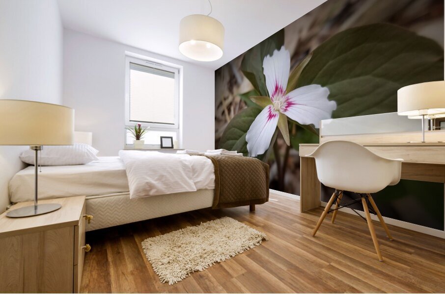 Painted Trillium Mural print