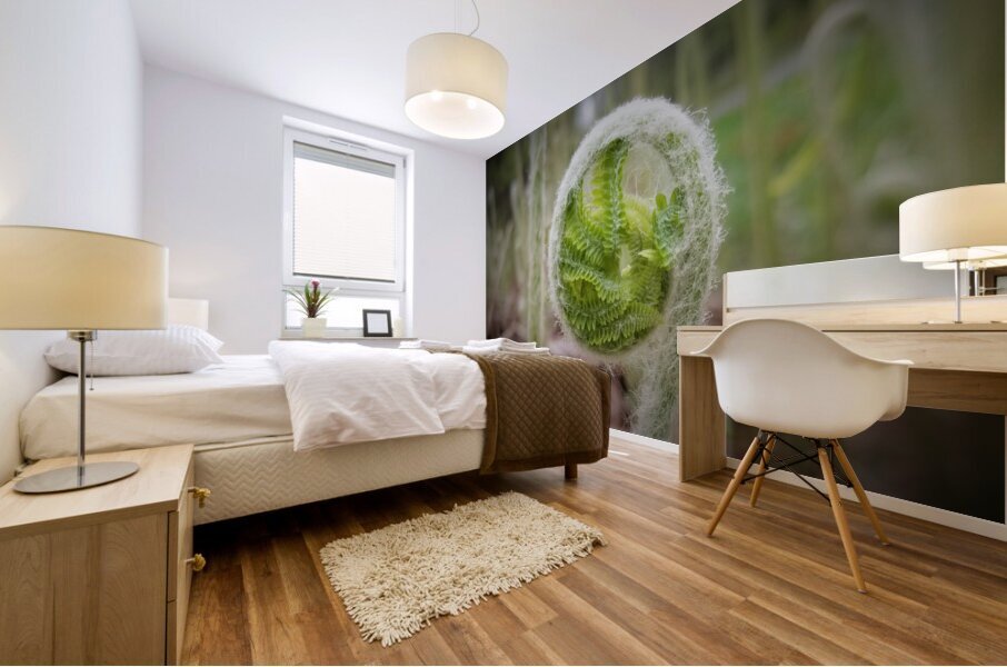 Fiddlehead Mural print