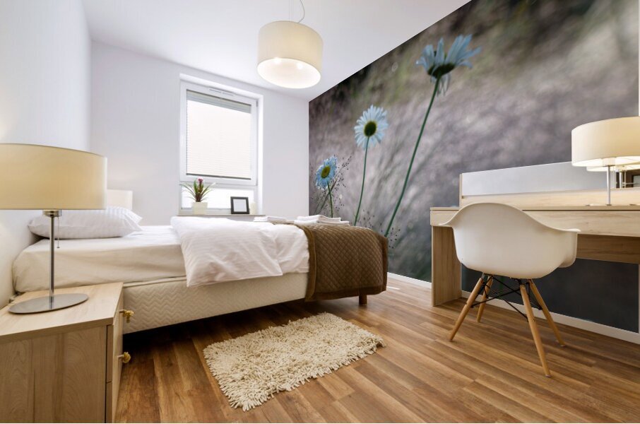 Daisies Mural print