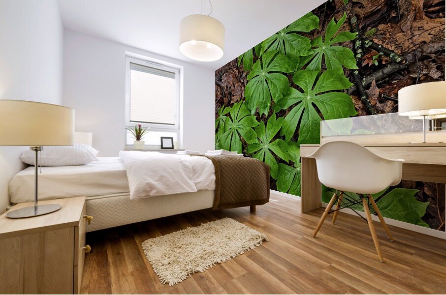 Mayapples Mural print