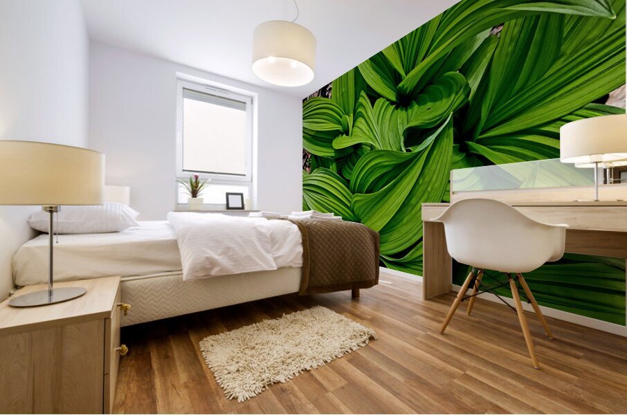 Green False Hellebore Mural print
