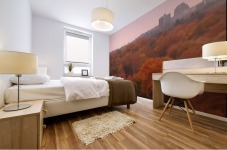 Colourful trees Mural print