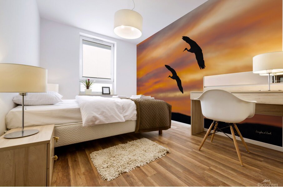 Sandhill Cranes Evening Sky Mural print