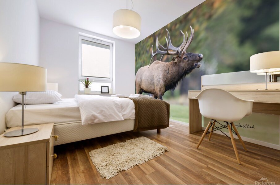 Bull Elk Bugle Mural print