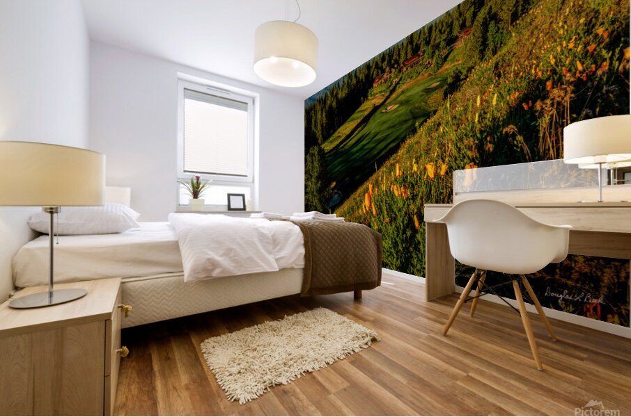 Swiftwater Cellars and Poppies Mural print