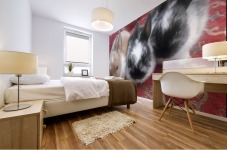 Cute Bunnies Mural print